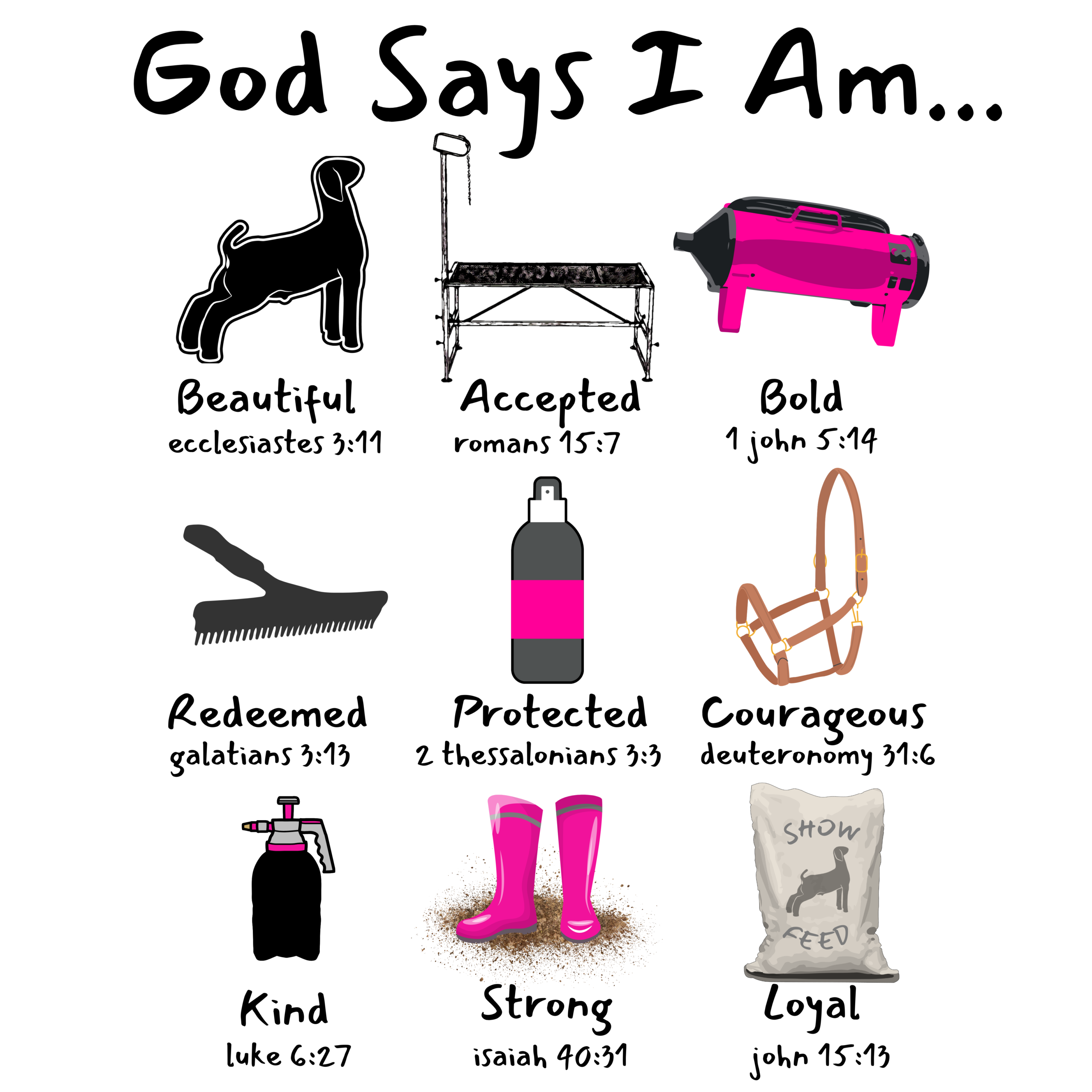 Stock show transfers - Image 4