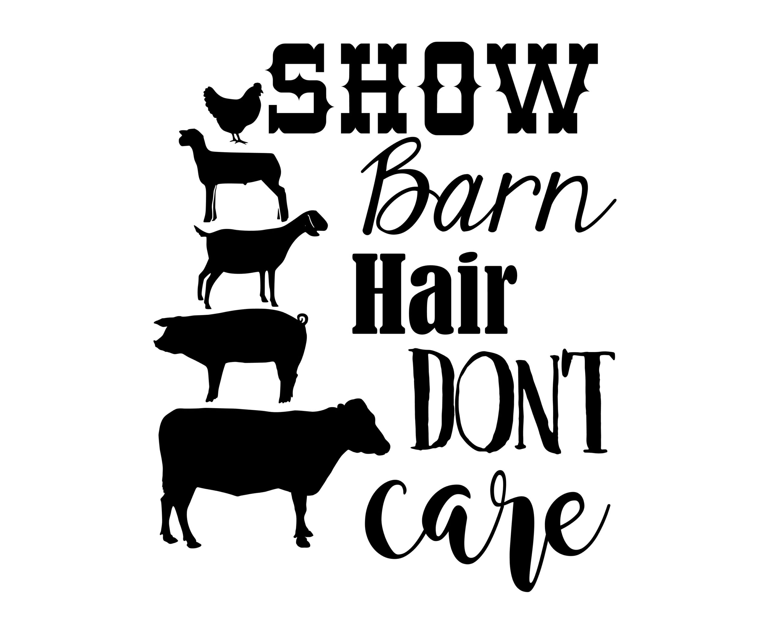 Stock show transfers - Image 9